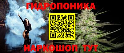 гидра Лесосибирск