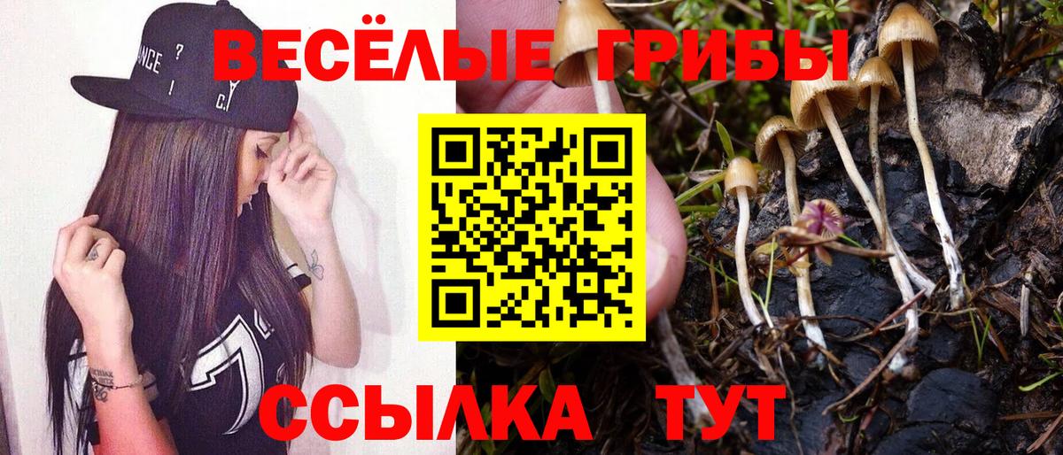 где купить наркоту  Галлюциногенные грибы Cubensis  Вход с VPN  Воткинск 
